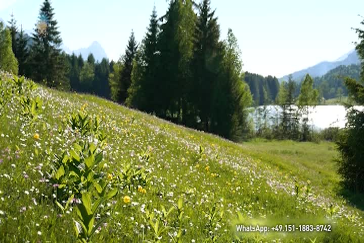 Thumbnail image for A Question of Ethics - Everything is in Bloom