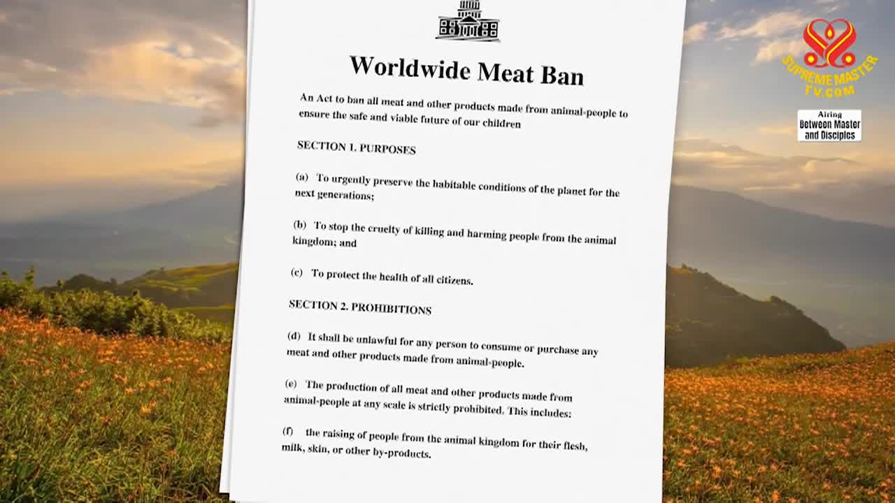 Supreme Master Television