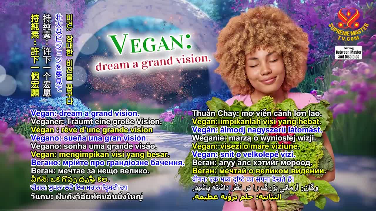 Supreme Master Television