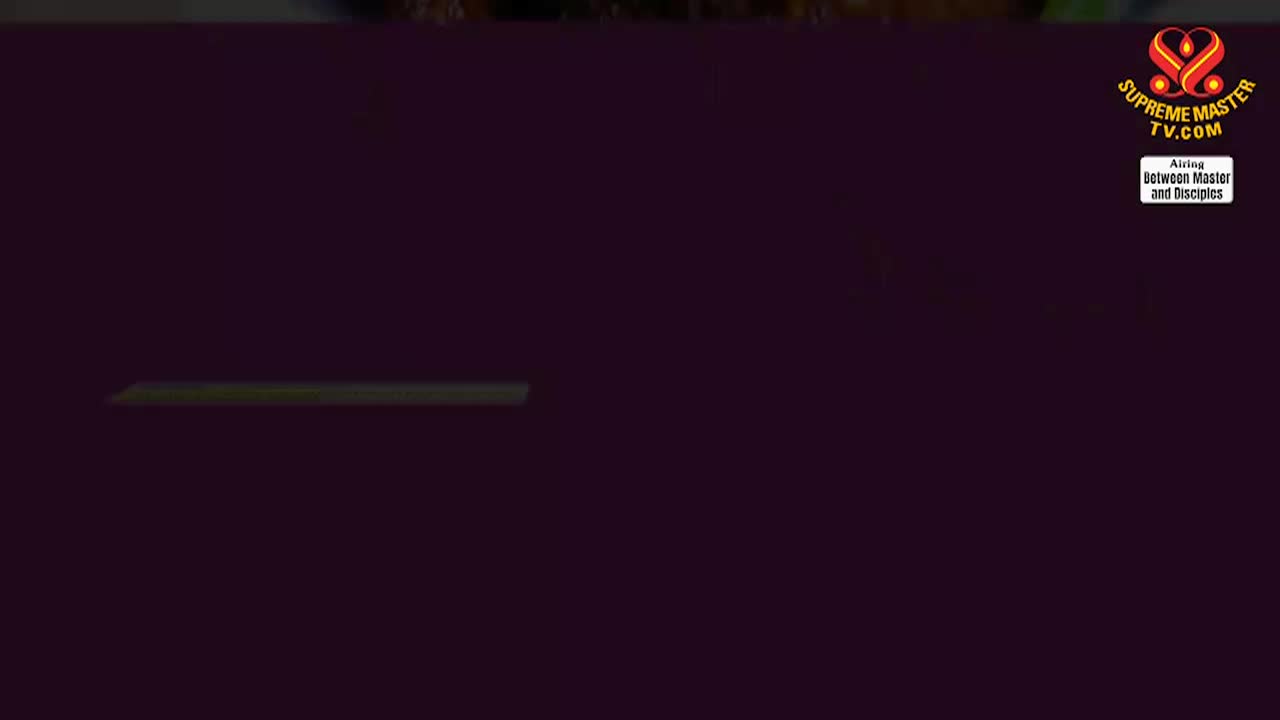 Supreme Master Television