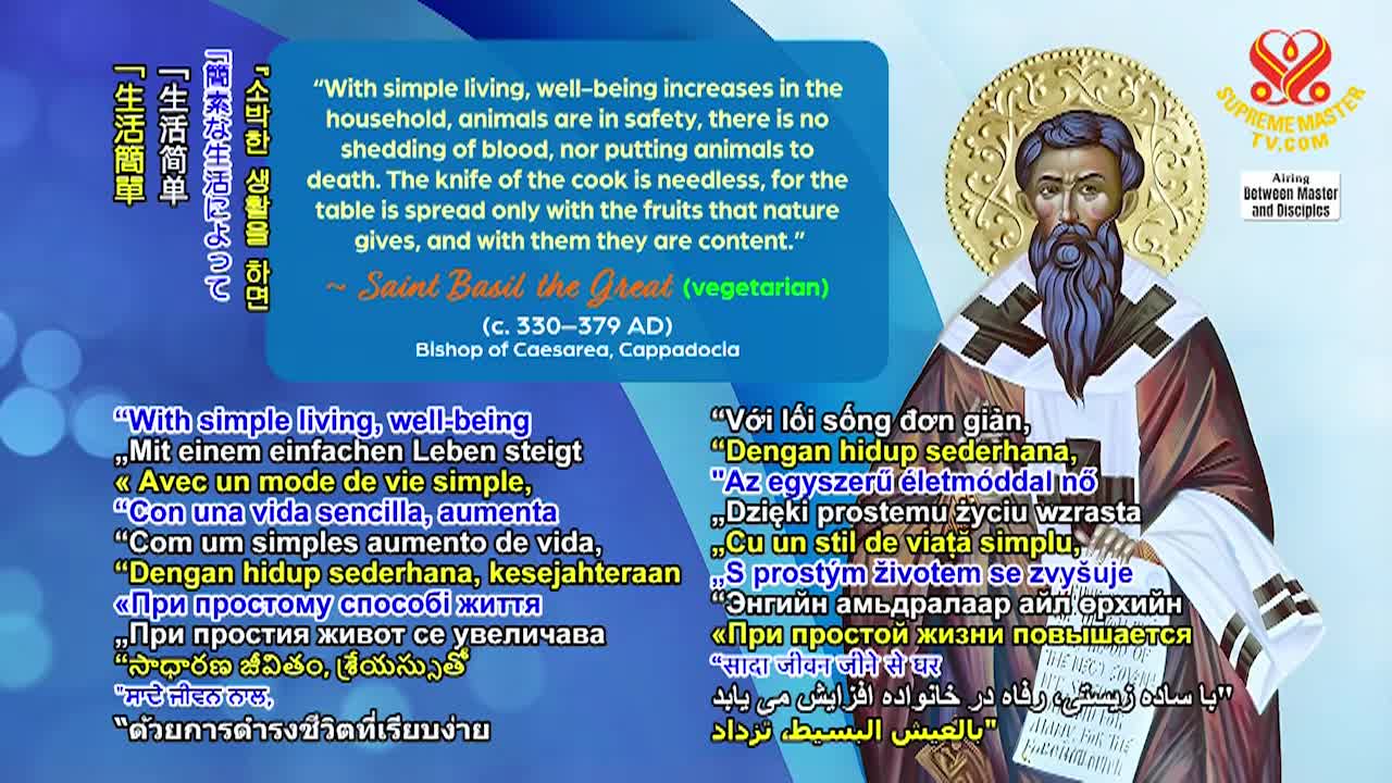 Supreme Master Television