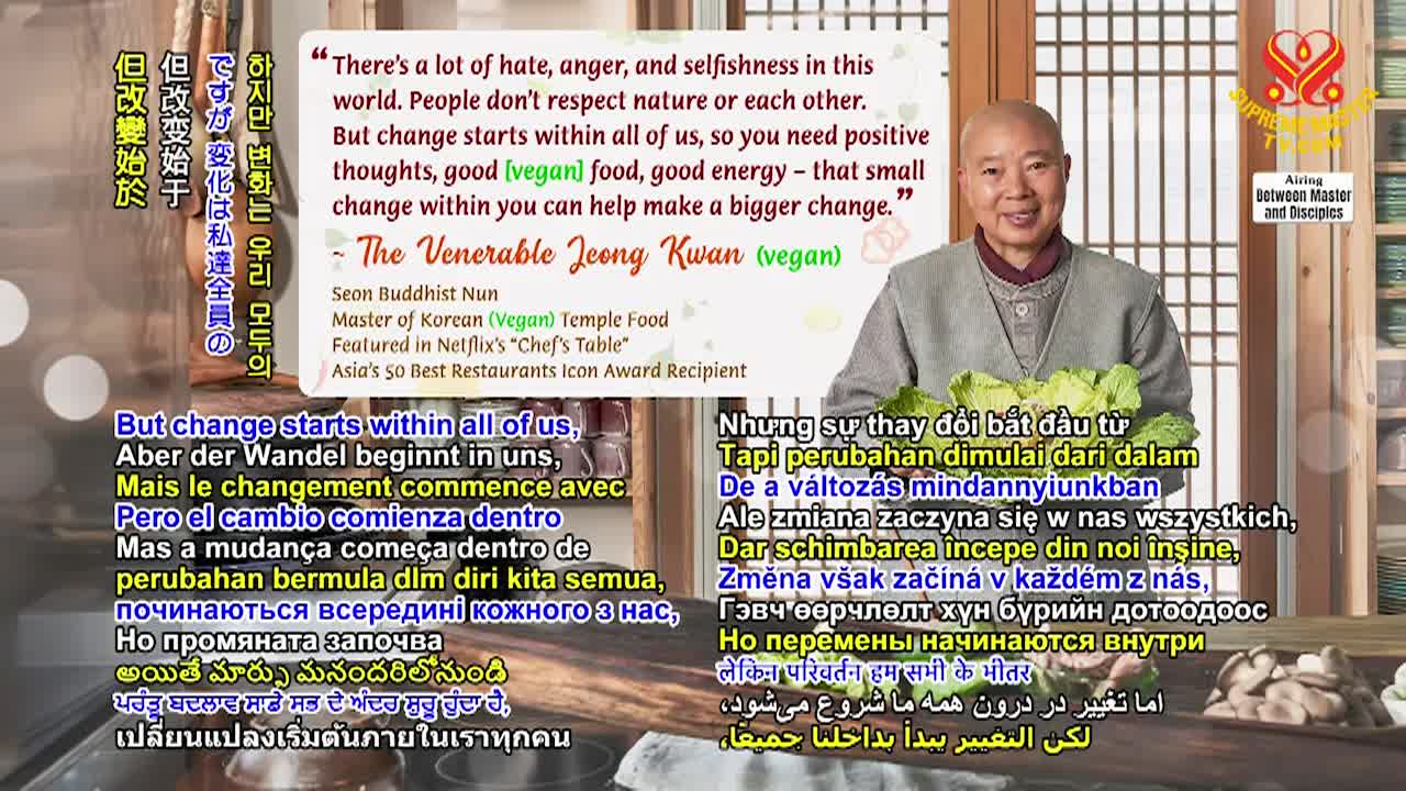 Supreme Master Television