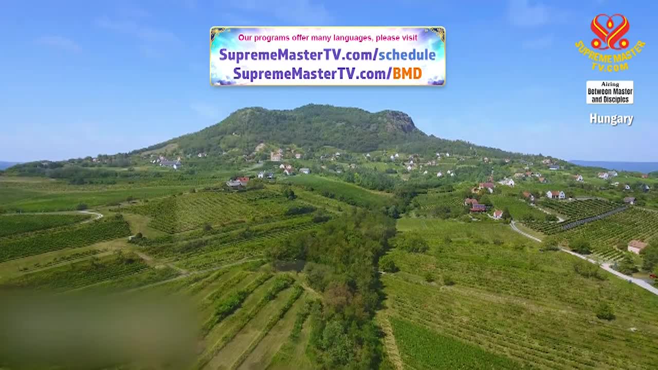 Thumbnail image for Supreme Master Television