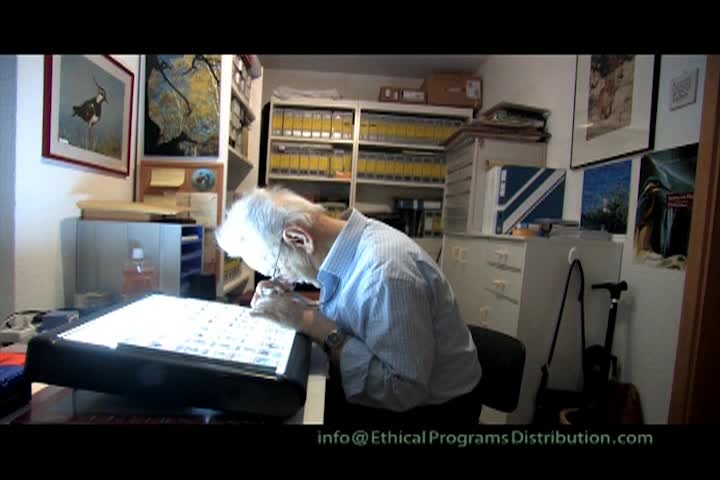 A Question of Ethics - Fox Story