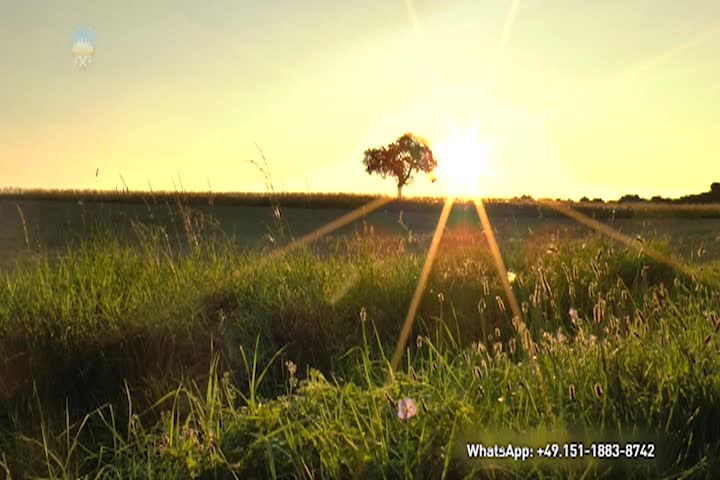 A Question of Ethics - Prayers Are Nourishment for the Soul