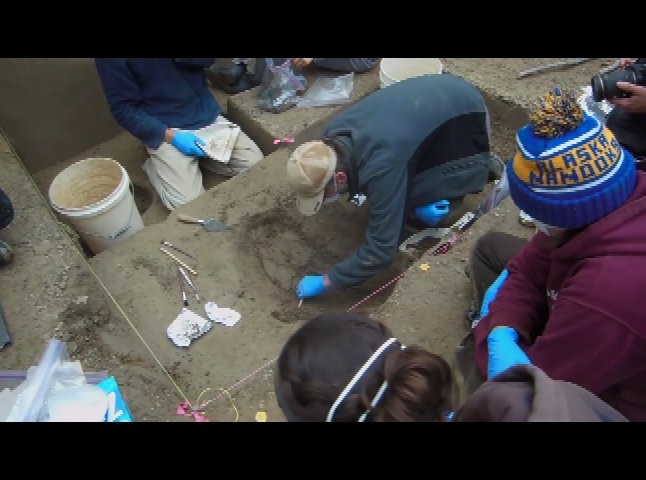 Thumbnail image for NSF Science Now