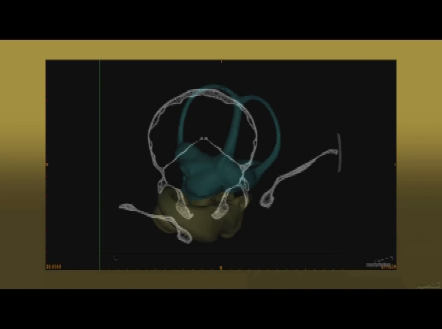 Thumbnail image for NSF Science Now