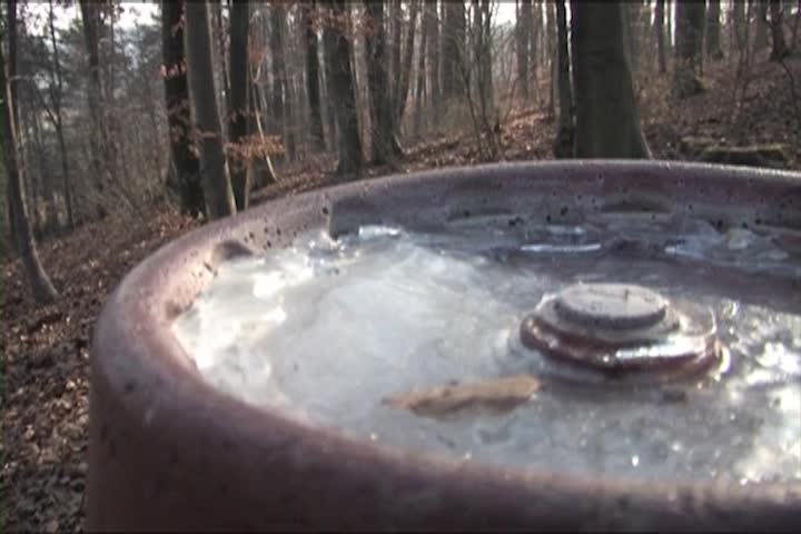 Thumbnail image for A Question of Ethics - Helping Animals Saving Lives