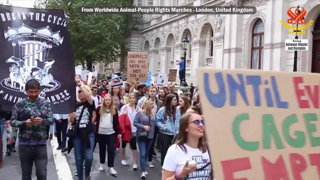 Thumbnail image for Supreme Master Television