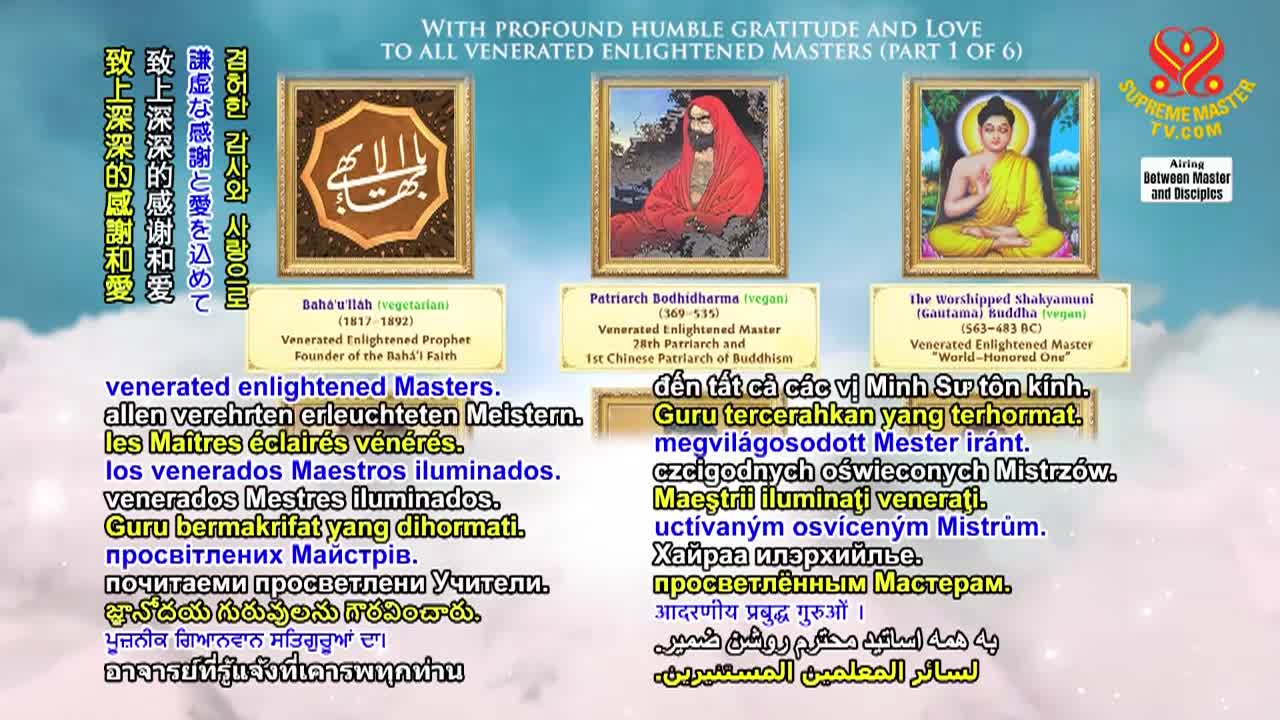 Thumbnail image for Supreme Master Television
