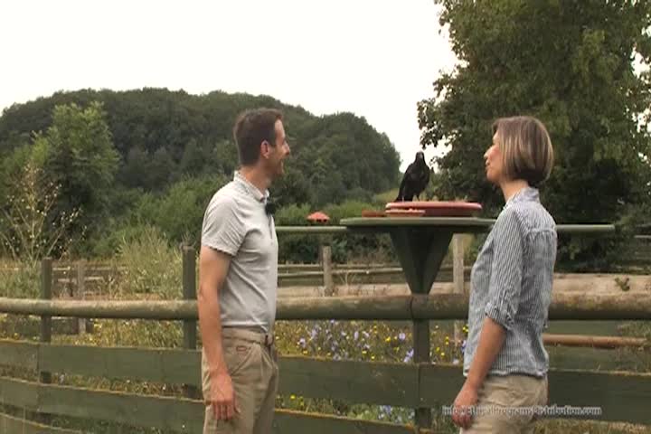 Thumbnail image for A Question of Ethics - Helping Animals Saving Lives