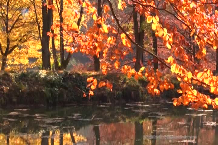 Thumbnail image for A Question of Ethics - Be Still God Dwells In You