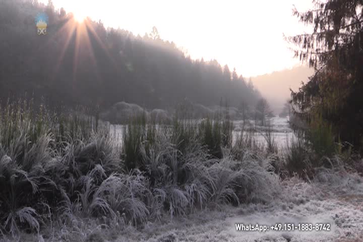 Thumbnail image for A Question of Ethics - Highlight Hours with Gabriele