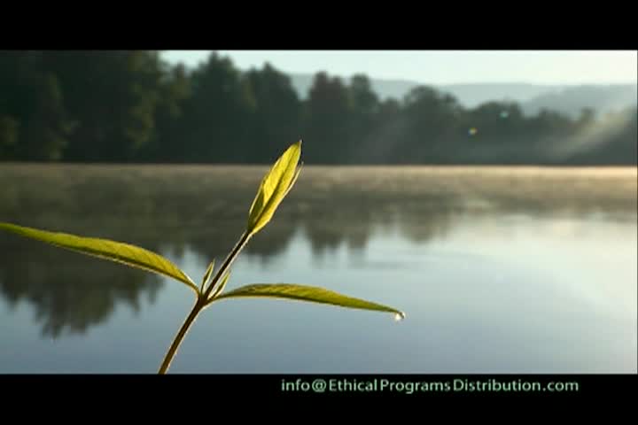 Thumbnail image for A Question of Ethics - Highlight Hours with Gabriele