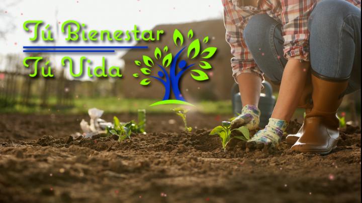 Title card Tú Bienestar Tú Vida