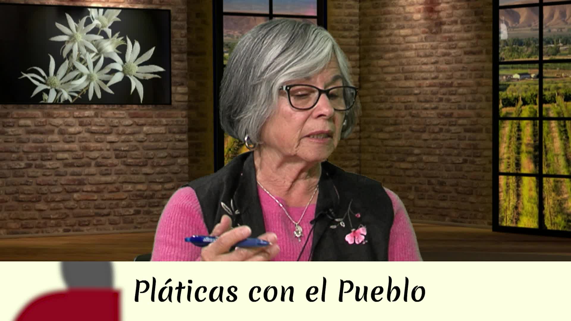 Thumbnail image for Platicas con el Pueblo - Virginia Santillanes